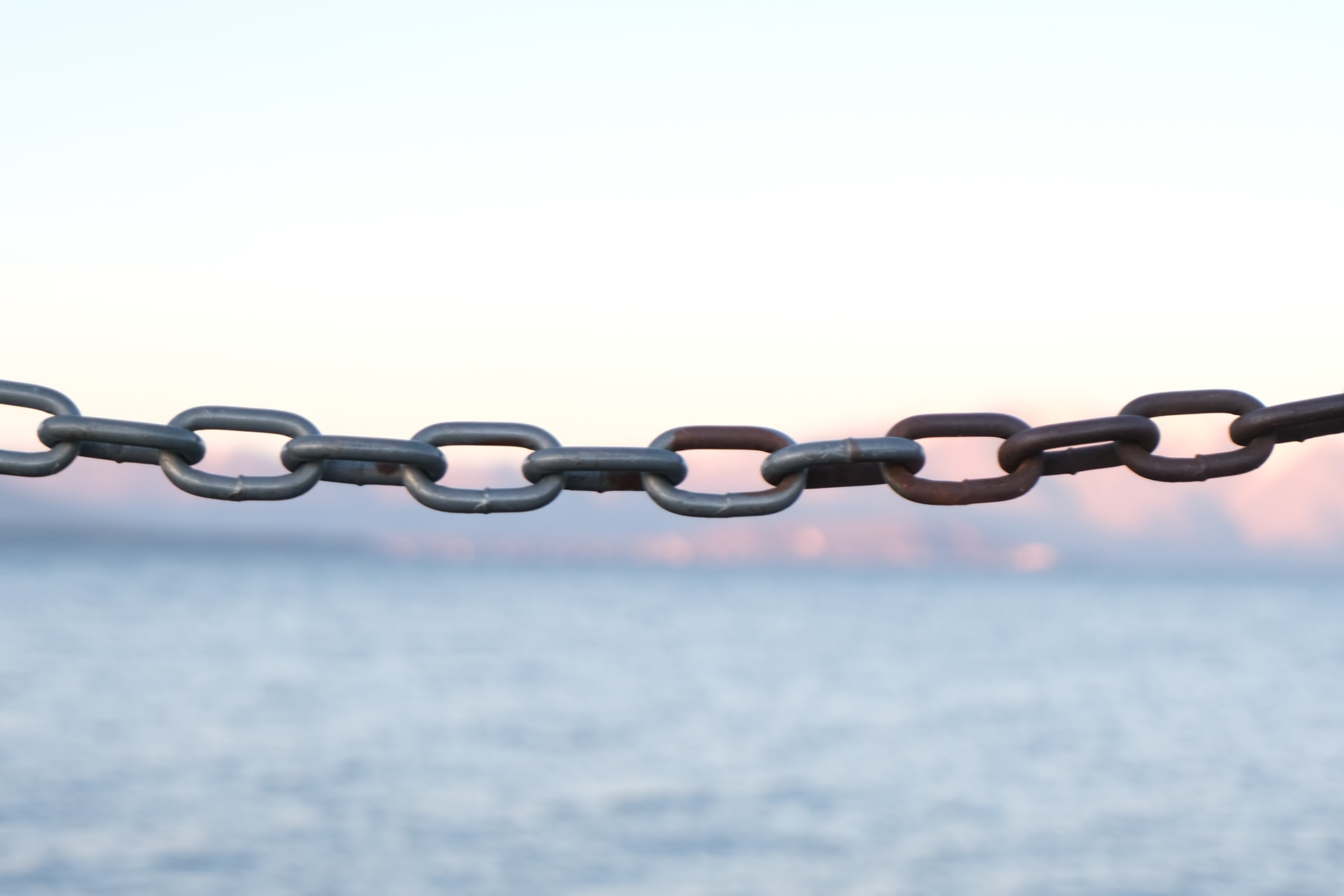 Automatically including all relationships in Drupal JSON:API cover image